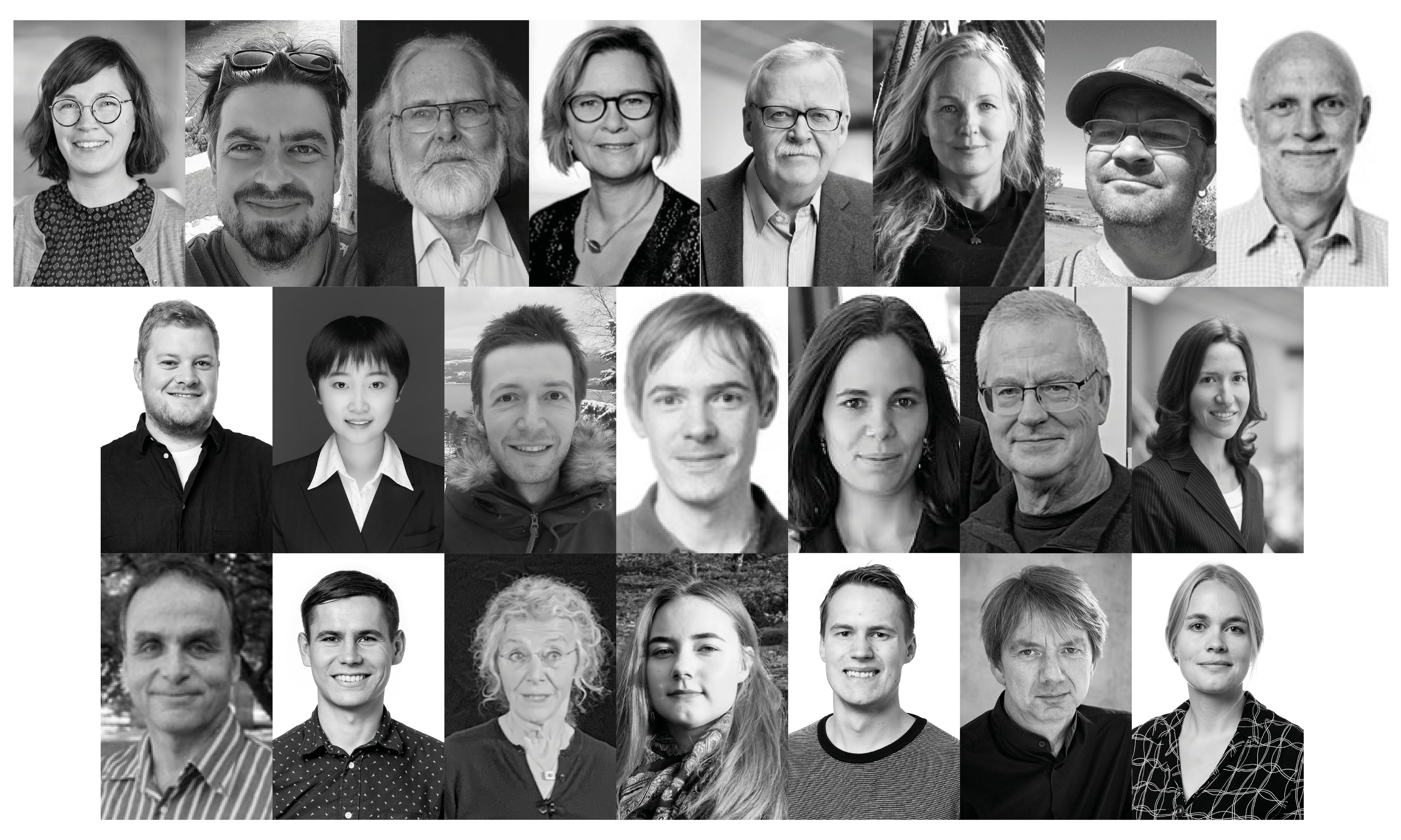 Pictures of all members in the NORDEMICS research group