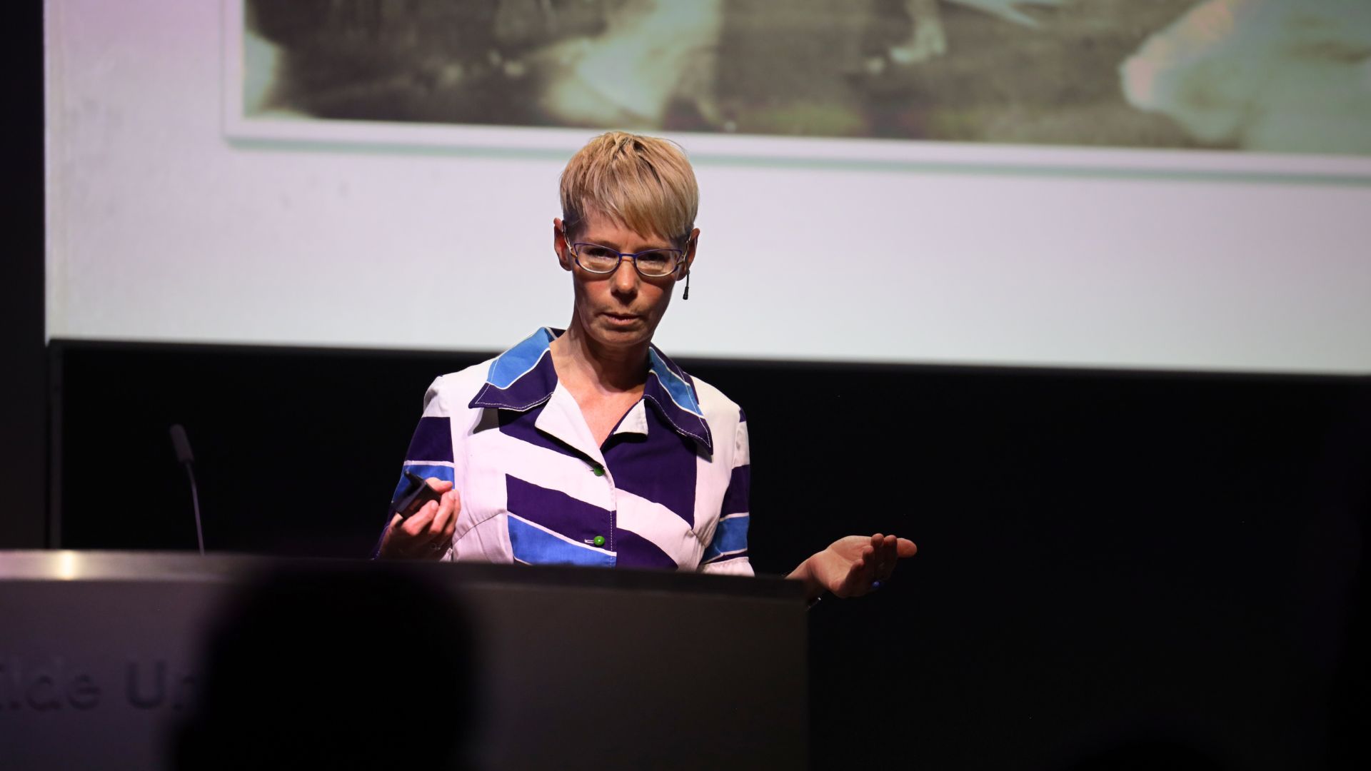 Rikke Andreassen festforelæsning