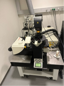Leica TCS SP5 multi-photon microscope
