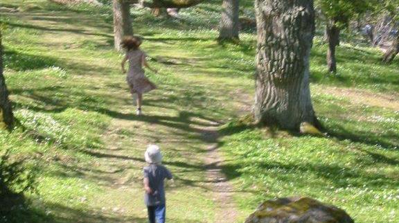 To børn der løber i skoven