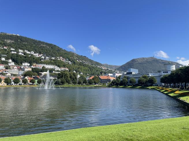 Picture of central Bergen park with mountains in the background