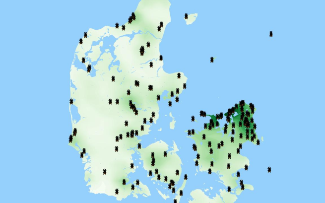 Foto: Et forsimplet kort der viser, hvor flest mennesker har registreret, at de har set flåter. Videnskab.dk. Illustration: Rasmus Kristoffer Pedersen.
