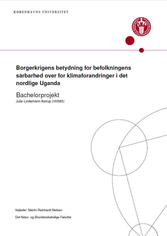 Front page of BSc thesis
