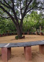 photo credit: Emilia Lewartowska