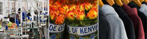 Sawing machines - Roses from Kenya - Sweatshits
