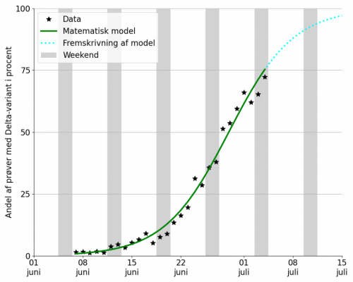 Figur 3: Data for delta-varianten i juni måned sammenlignet med den model der passer til udviklingen af data. 