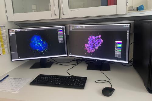 Image analysis station and associated server drives for safe data storage.