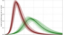 Den røde og den grønne kurve i en SIR-model