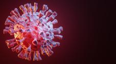 Foto: Stock foto af coronavirus. 