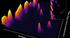 Photo: Fig. 1A. Full, time-dependent Hamming distance distribution by Bjarke Frost Nielsen. Inkscape.